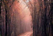 永利体育:亚足联年度大奖揭晓 水庆霞当选最佳女教练央视新闻客户端.