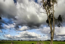 永利体育:国足迪拜集训选定3.15热身对手 14年后再会科威特.