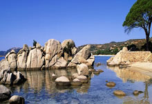 永利体育:张继科问黑龙江男队要不要人:2029年全运会要人的话帮我注册一下.